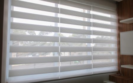 Blinds,Double,Vision,,Dual,Mink,,Zebra